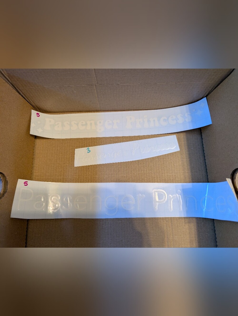 Decal "Passenger Princess"
